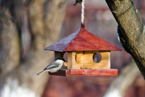 чим зайнятися з дітьми на канікулах-17
